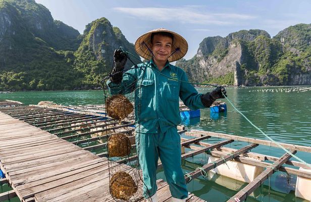 Luxury Halong Bay Day Trip From Hanoi
