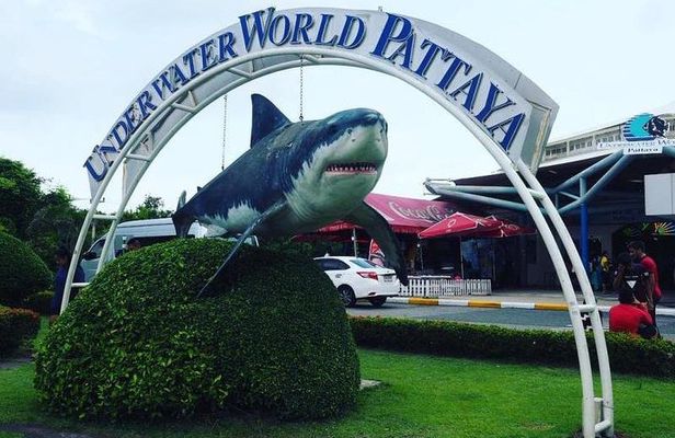 PATTAYA: Join Tour Under Water World Pattaya