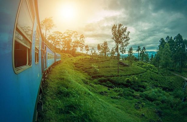 Sri Lanka Tour Package in 05 Nights 06 Days