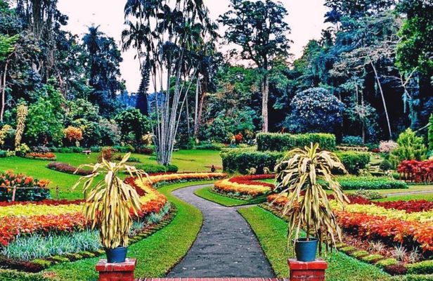 Kandy city tour for couple price 