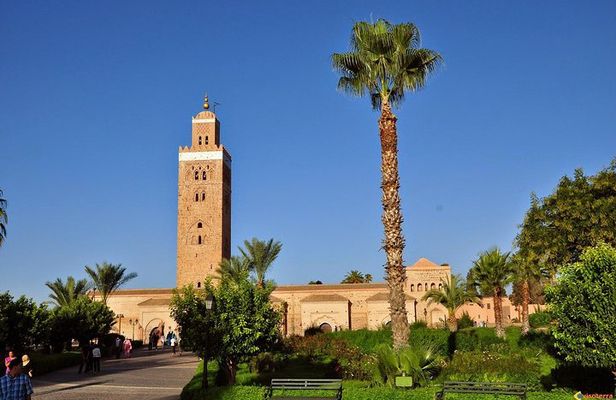 Guided Unveiling the Medina's Wonders of Marrakech