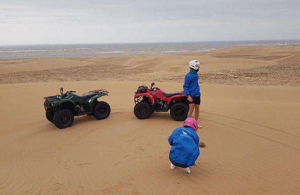 Essaouira: Quad tour forest beach dunes (free transfer)