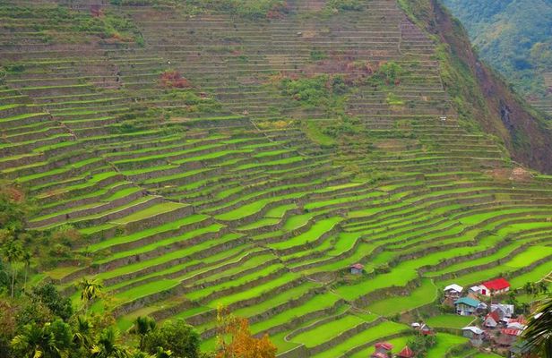 Banaue Rice Terraces Escape: 3 Days, 2 Nights with Transfers