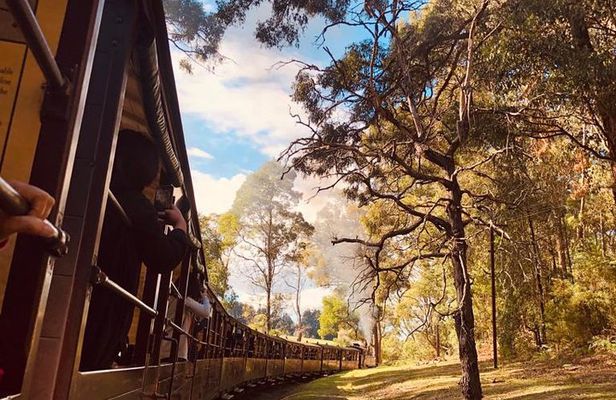 Private Yarra Valley And Puffing Billy Tour