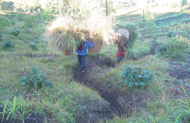 Batur Caldera Sunrise Trekking