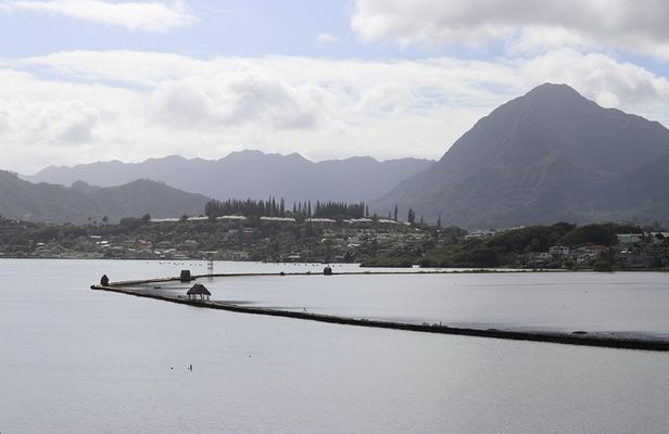Menehune Enterprises (Waikiki) Semi-Private North Shore Eco Immersion Tour