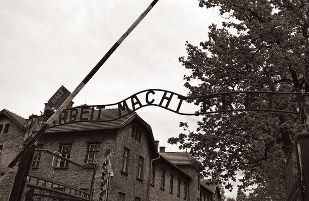 Krakow: Auschwitz-Birkenau & Salt Mine Private Transport & guide