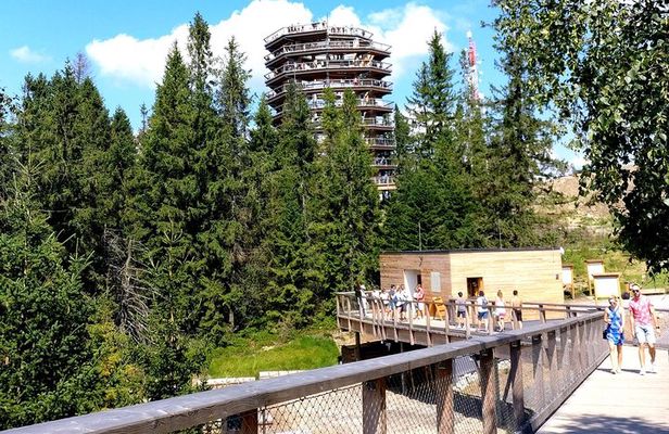 Krakow: Slovakia Treetop Walk & Zakopane Town Private Tour