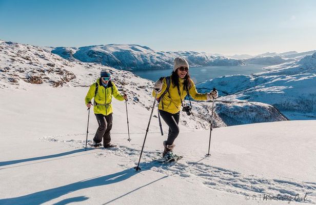 Tromsø: Winter Snowshoeing with Wandering Owl