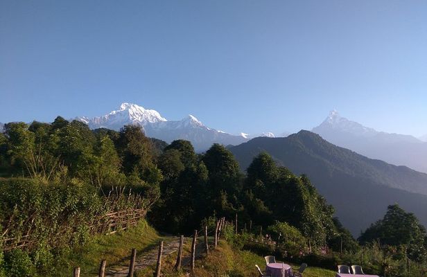 Mardi Himal Trek 6 days - Magnificent Views 