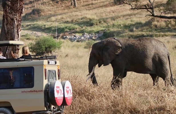 3 Day Serengeti National Park & Ngorongoro Crater Camping Safari