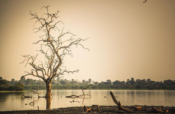 3 Days Safari - Selous Game Reserve