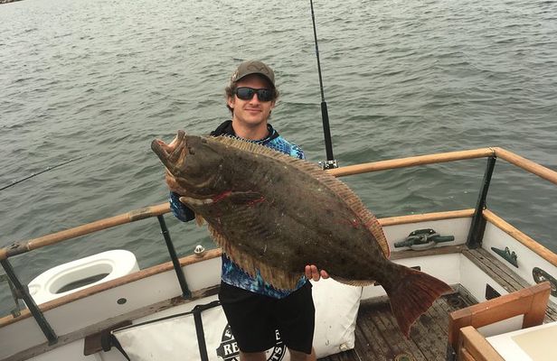 Bay Fishing Charter