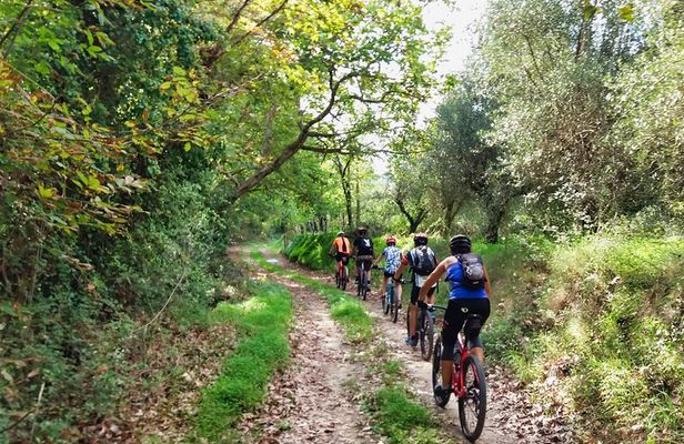 Eleftherna E-Bike and MTB Tour - Experience The Authentic Crete