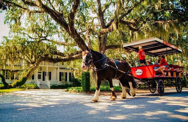Beaufort’s #1 Horse & Carriage History Tour
