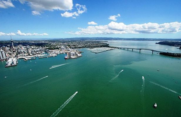 Auckland Harbour Cruise