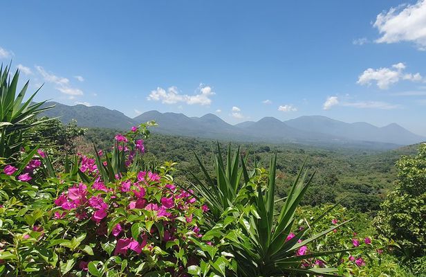 Full Day Ruta de Las Flores visit four Colonial Towns and Coffee Farm
