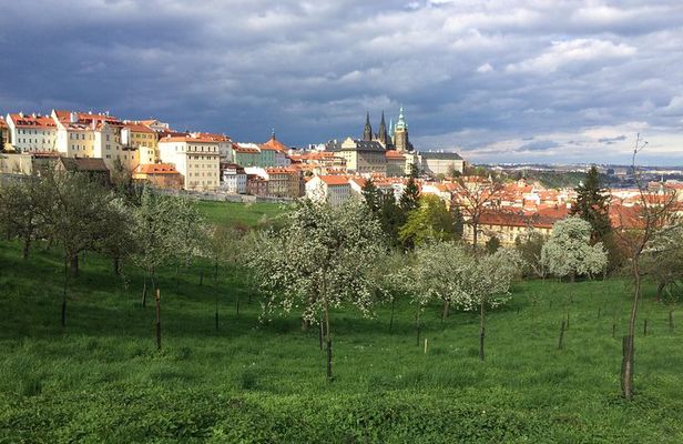 city tour to Prague Castle