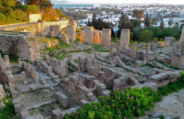 Historical Tour of Ancient Carthage