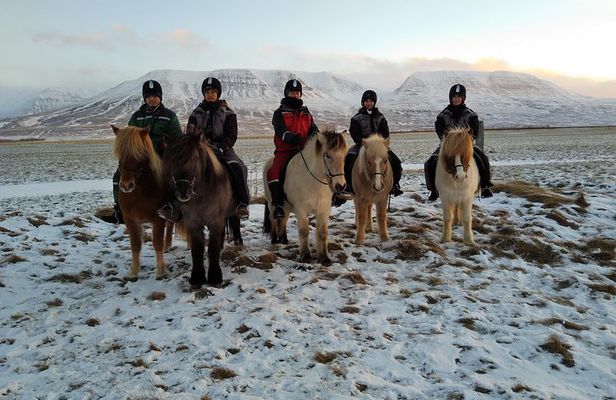 The Viking Horse Riding Experience in North Iceland
