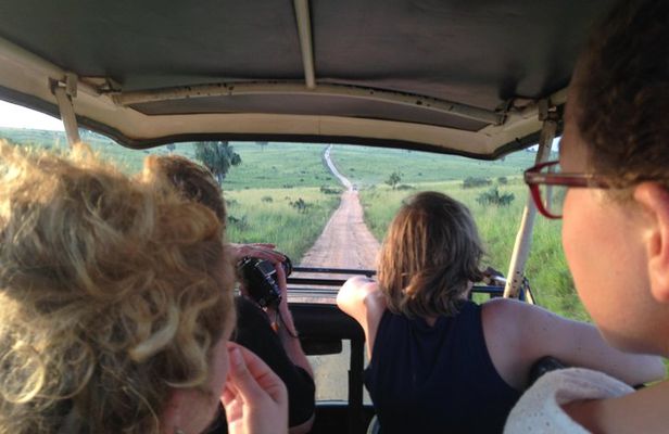 3-Day Murchison Falls Safari and Ziwa Rhino Tracking