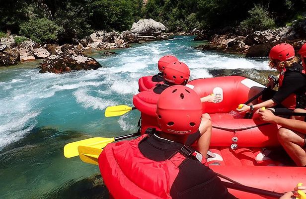 Tara rafting - half day
