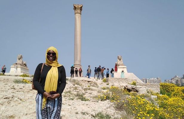 Full private day trip to Alexandria