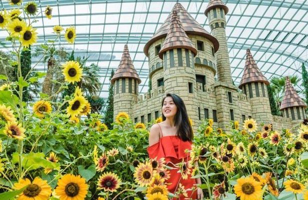 Garden by the Bay with two domes (Shared transfer)