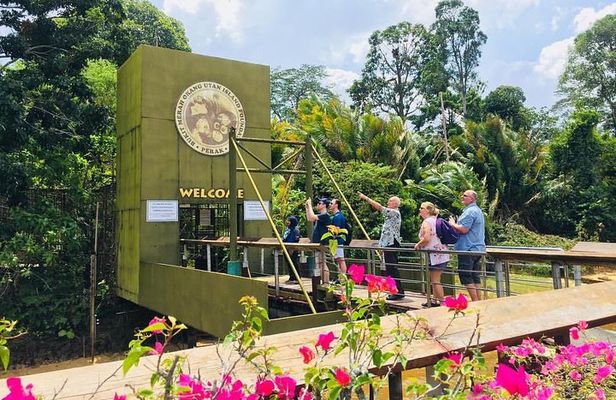 Private Tour : Orang Utan Island & Perak Cave Temple from KL
