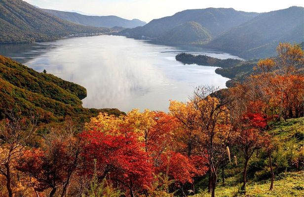 Nikko private tour with English speaking guide
