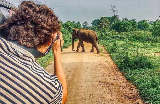 Sri Lanka tour itinerary . 6N/7D with driver, vehicle and H/B accommodations