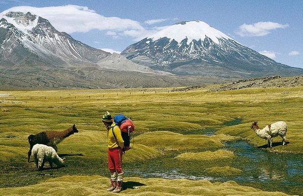 4-Days Unique Experience at the Chilean High Plateau