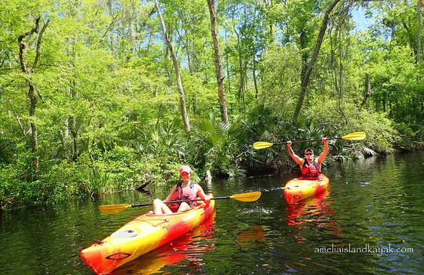 Self Guided Family Friendly Kayak Rental Experience Old Florida
