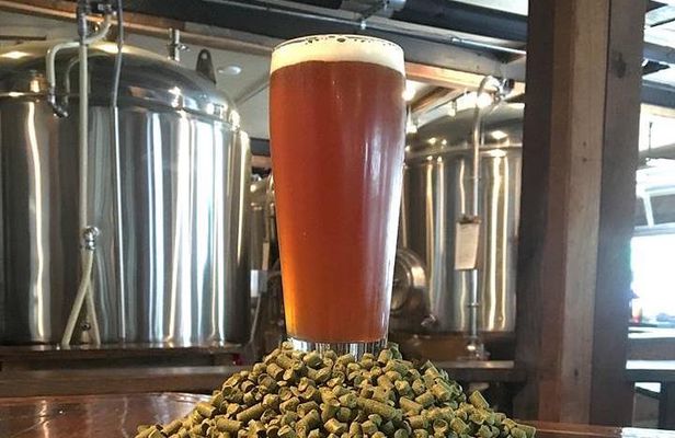 Taco 'Bout Austin Bicycle Tour