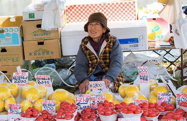 Experience the energy of Kochi: Sunday Market Tour includes Kochi Castle