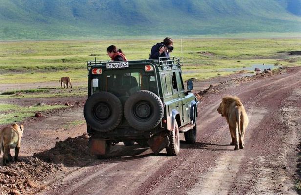 2 Day Private Safari in Lake Manyara and Ngorongoro Crater National Park