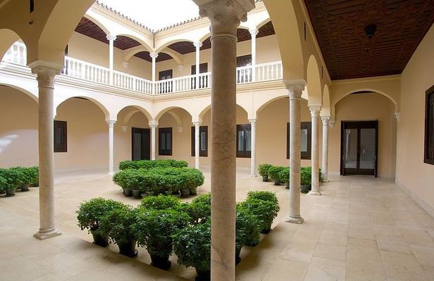 Private visit to Picasso Museum in Malaga with official tour guide