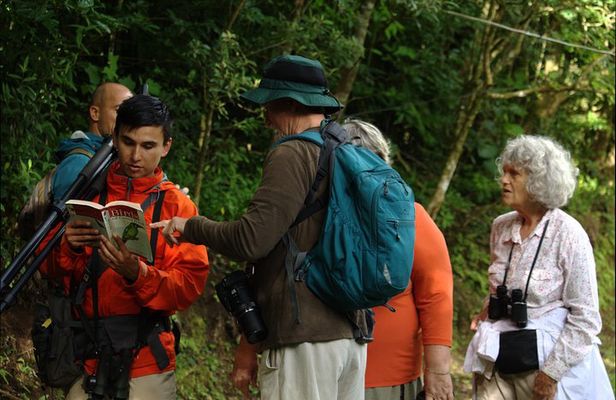 Monteverde Cloud Forest Tour with a Certified Tour Guide