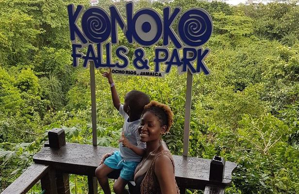 Konoko Falls & Park Private Transportation 