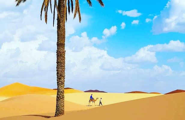 Best Casablanca Desert Trips