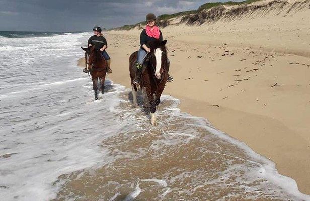 Day trip to Macaneta beach + horse ride
