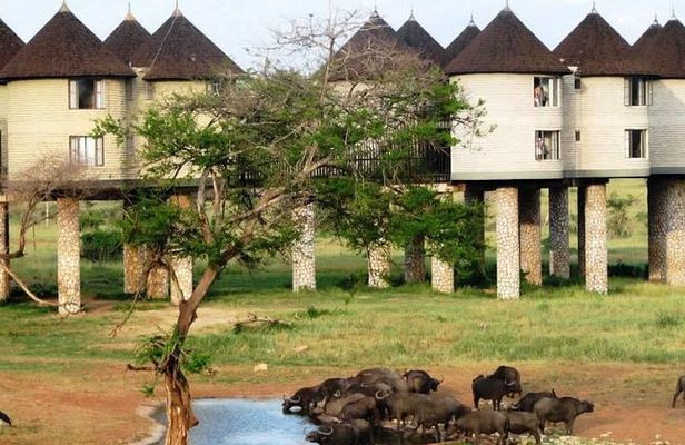 3 Days 2 Nights To Sarova Saltlick And Taita Hills