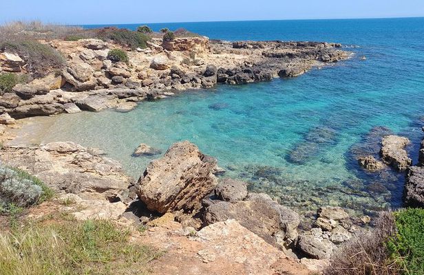 Vendicari Nature Reserve Tour