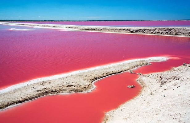 Ek Balam, Rio Lagartos and Las Coloradas Private Tour from Cancun