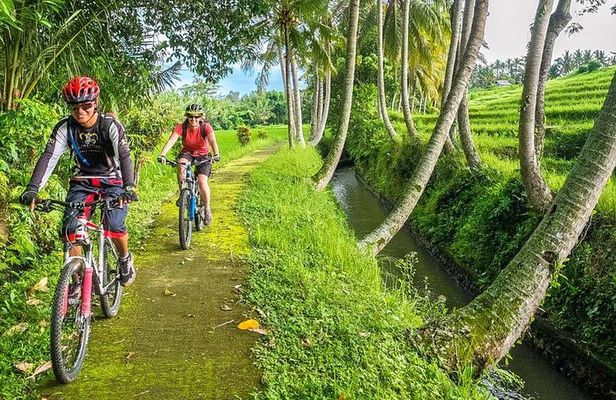 Bali Downhill Cycling and White Water Rafting