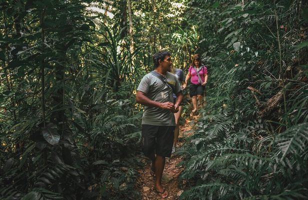 Walkabout Cultural Adventures - Ngana Julaymba Dungay Full Day