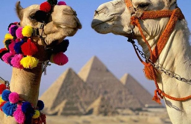 Half Day Tour to Giza Pyramids & Sphinx