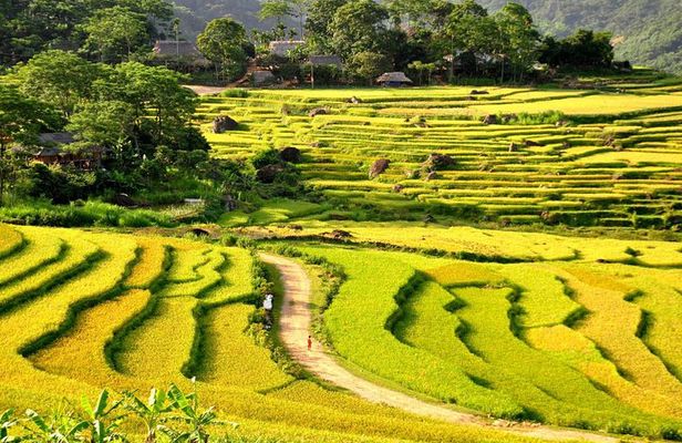 Mai Chau 2 days 1 night Pu Luong Adventure