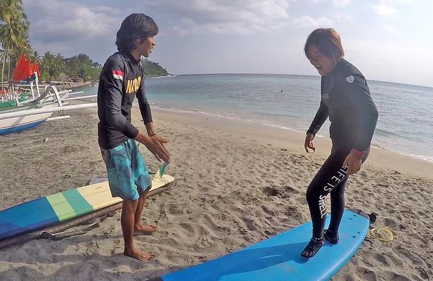 Beginner surf lesson private class - Adult