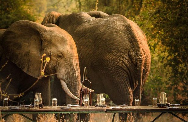 3 Days Safari - Mikumi National Park